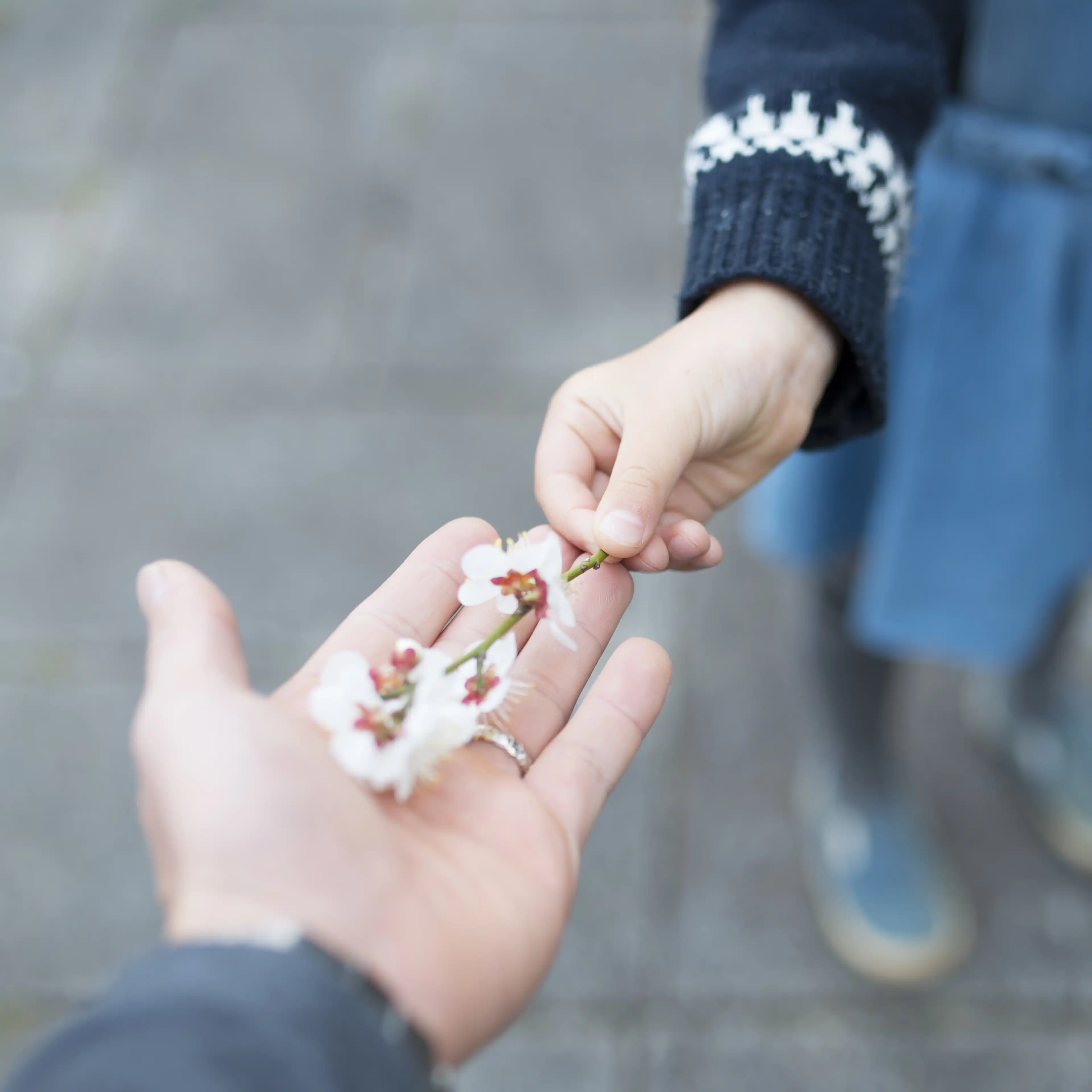 Caring hands representing parent perspective